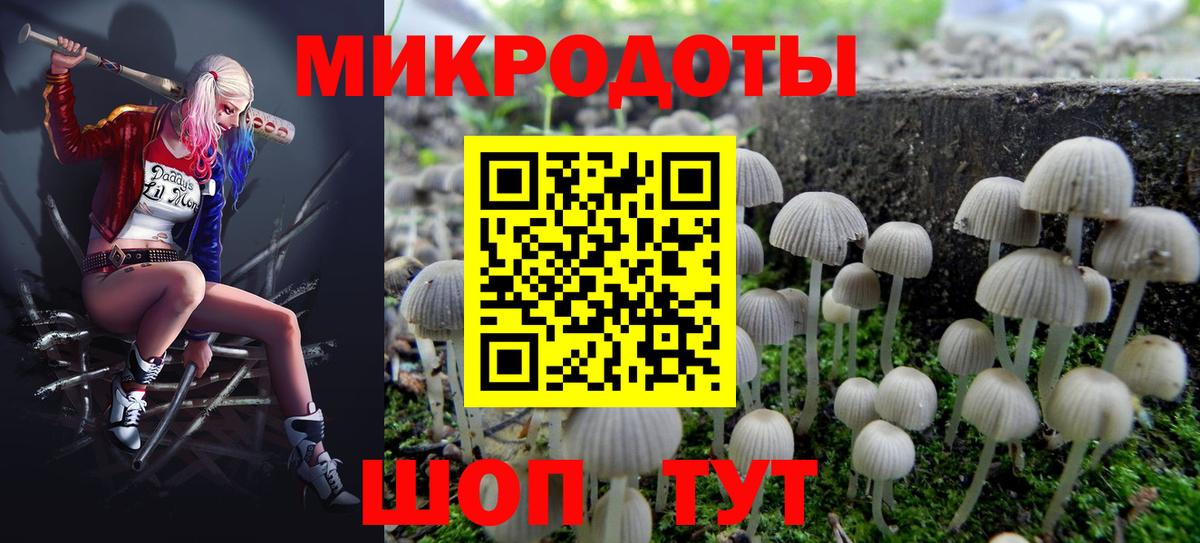 Галлюциногенные грибы GOLDEN TEACHER  Вход с VPN  Красный Сулин 