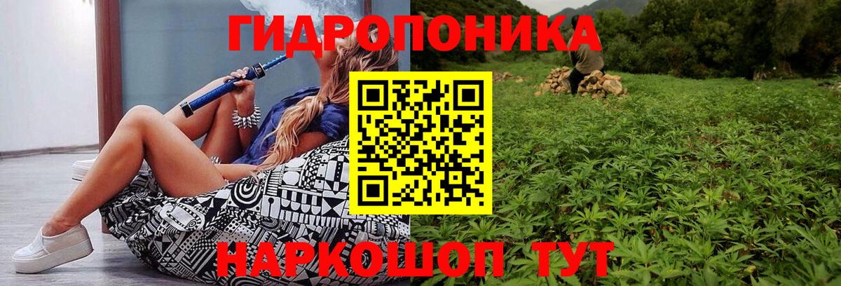 Красный Сулин  Бошки Шишки тримм  Вход с VPN  Каннабис LSD WEED 